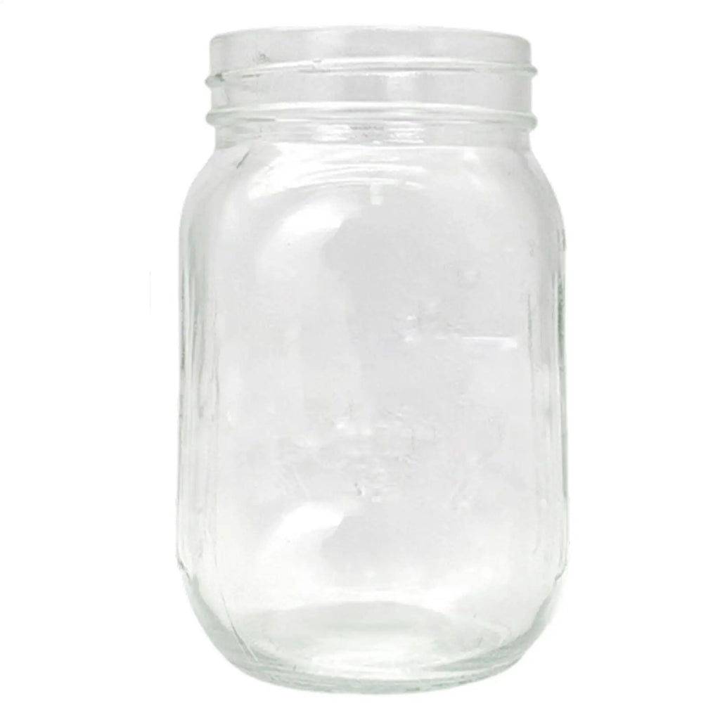 Sprouting Jar Kit Health Vegetables Grow Broccoli Sprouts Growing Kit For Gardeners Beginners Homesteaders Kitchen Countertop Zpaxo