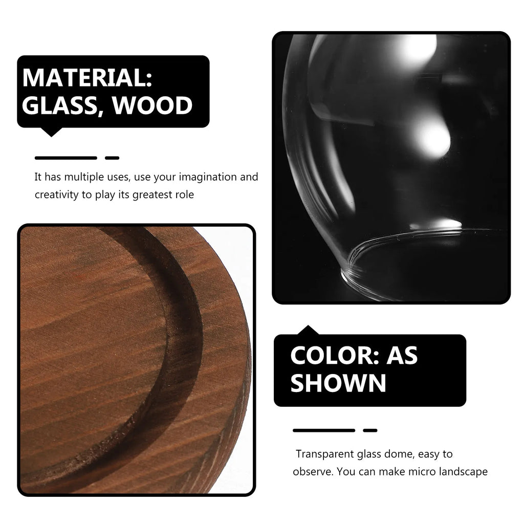 Miniature Round Glass Dome Wood Base Display Case Clear Cover Eternal