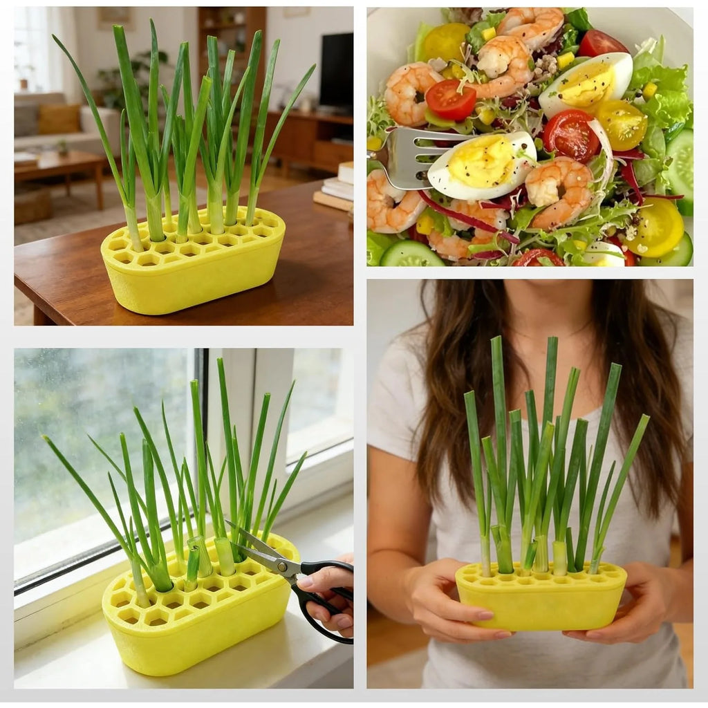 3D Printed Green Onion Regrower Sprouting Hydroponic Scallion Planter