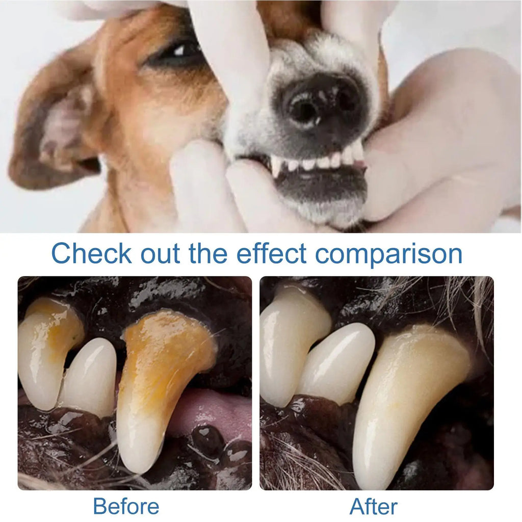 Dog Teeth Cleaning Foam Cat Breath Freshener Control Tarter Plaques