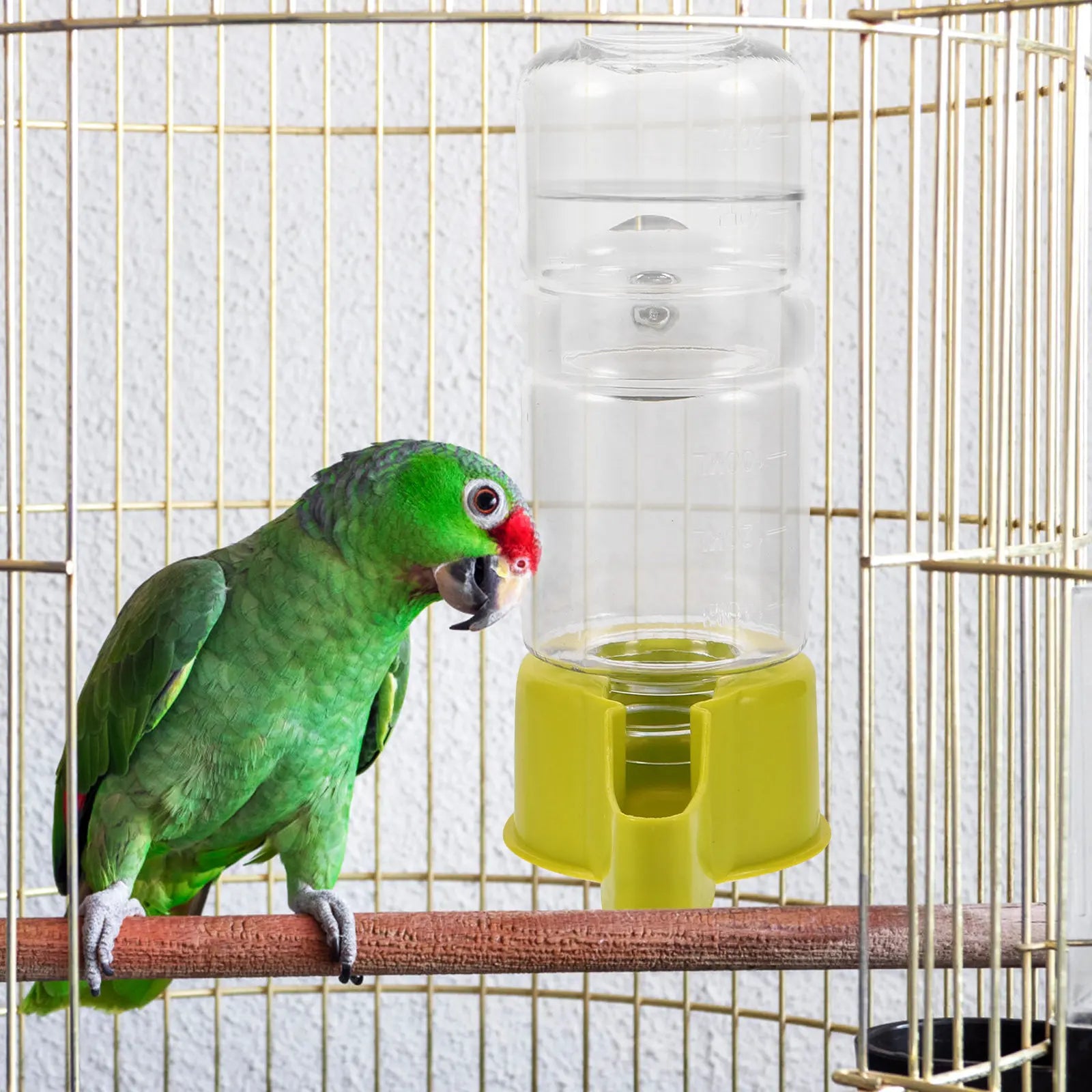 Bird Water Dispenser Cage Automatic Parrot Waterer Mounting Fresh