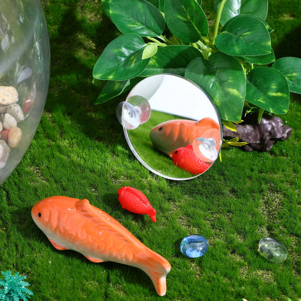 Betta Fish Acrylic Mirror Single Side Suction Cup Tank Training