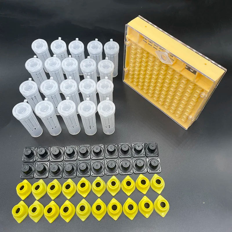 Queen Bee Rearing System Plastic Cell Cage Protection Cover Base Box