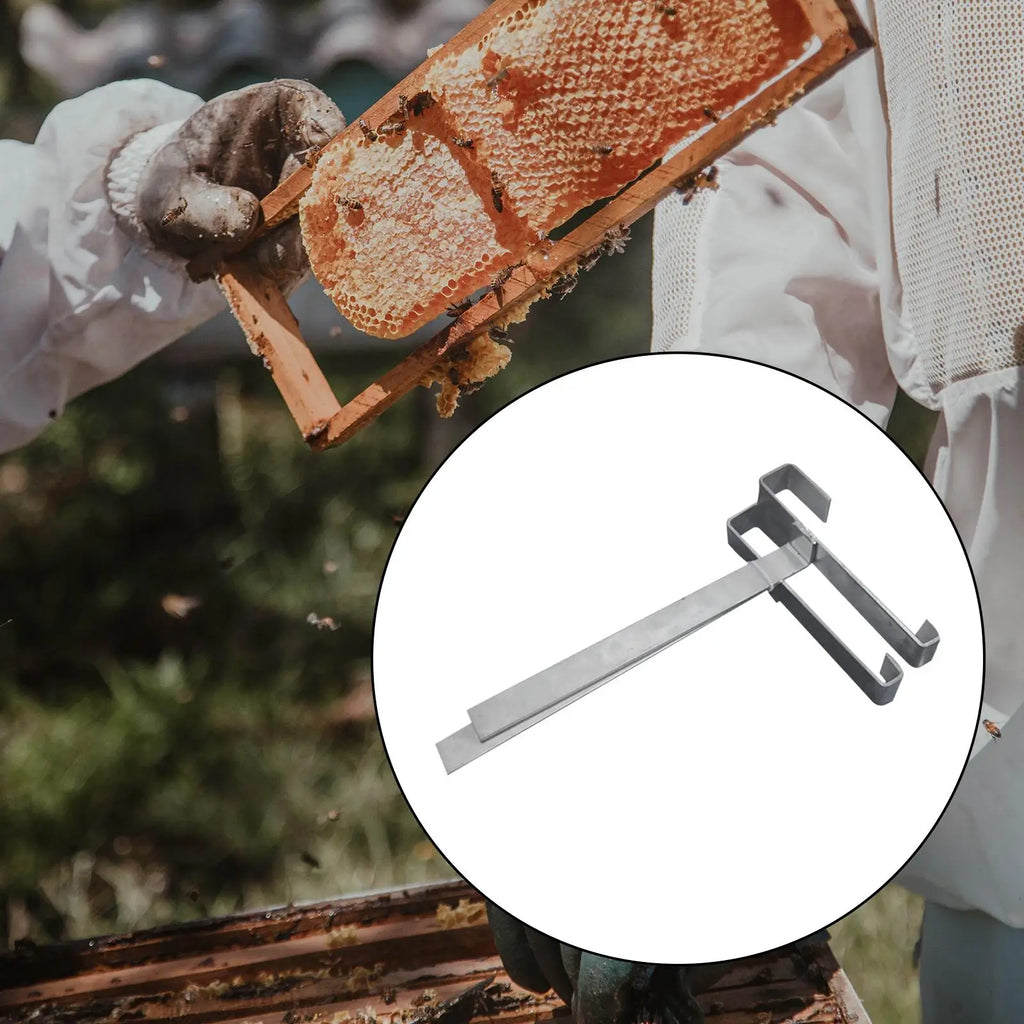 2 Pieces Beehive Frame Holder Support Bracket Stainless Steel Easy Installation Accessory Bee Hive Frame Grip for Home Workshop Zpaxo
