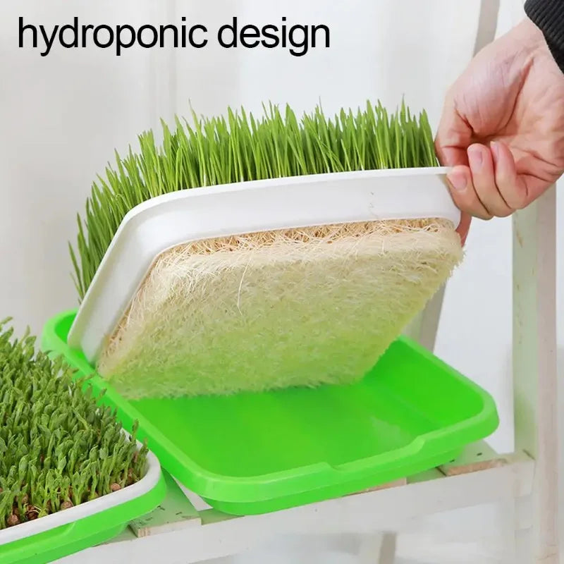 Soilless Planting Seedling Tray,Seed Sprouter Germination Tray for Growing, Bean Sprouts, Cat Grass, Wheat Grass, Mung Beans Zpaxo