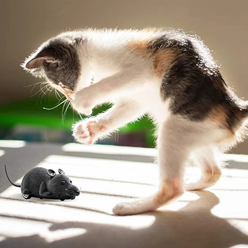 Simulation Flocking Interactive Eco-friendly Plastic Cat Toy