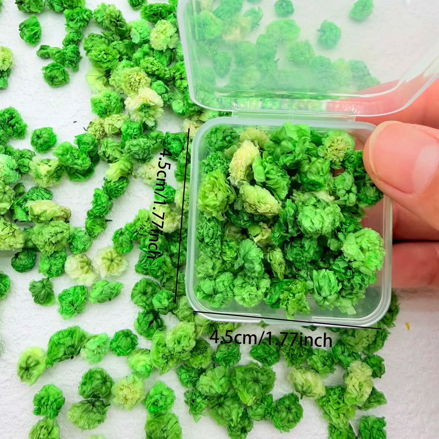 Colorful Daisy Flower Heads – DIY Resin, Candle & Jewelry Filler Craft Flower Filler Zpaxo green S
