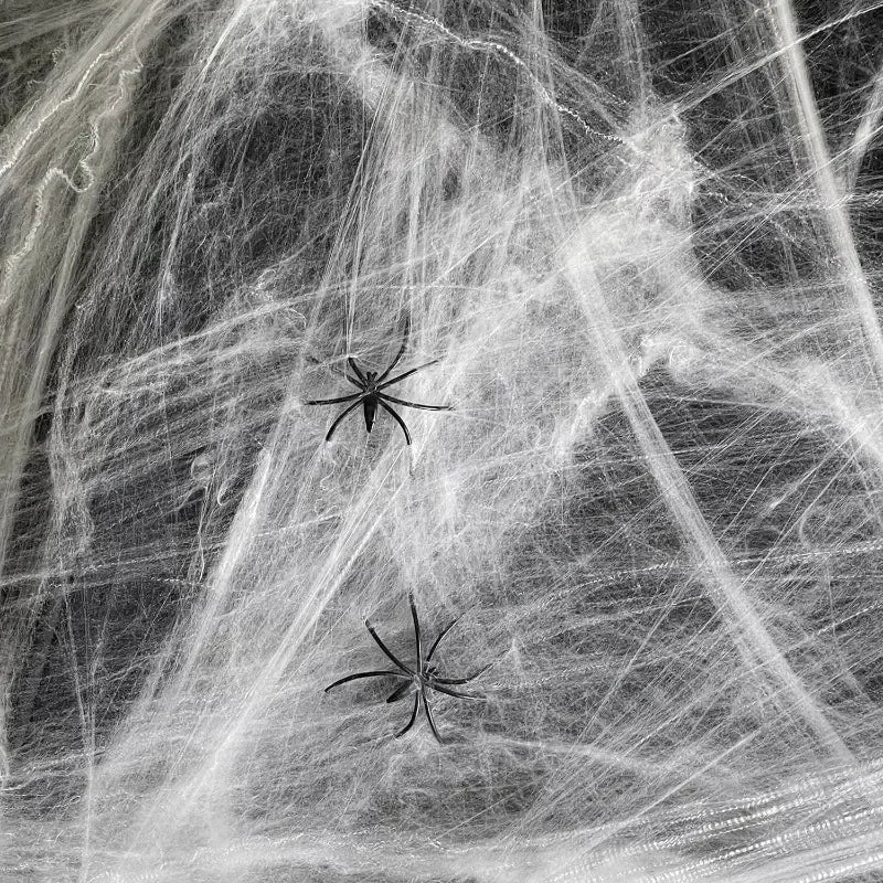 Stretchable Spider Web Decor Fake Spiders Halloween Creepy Indoor