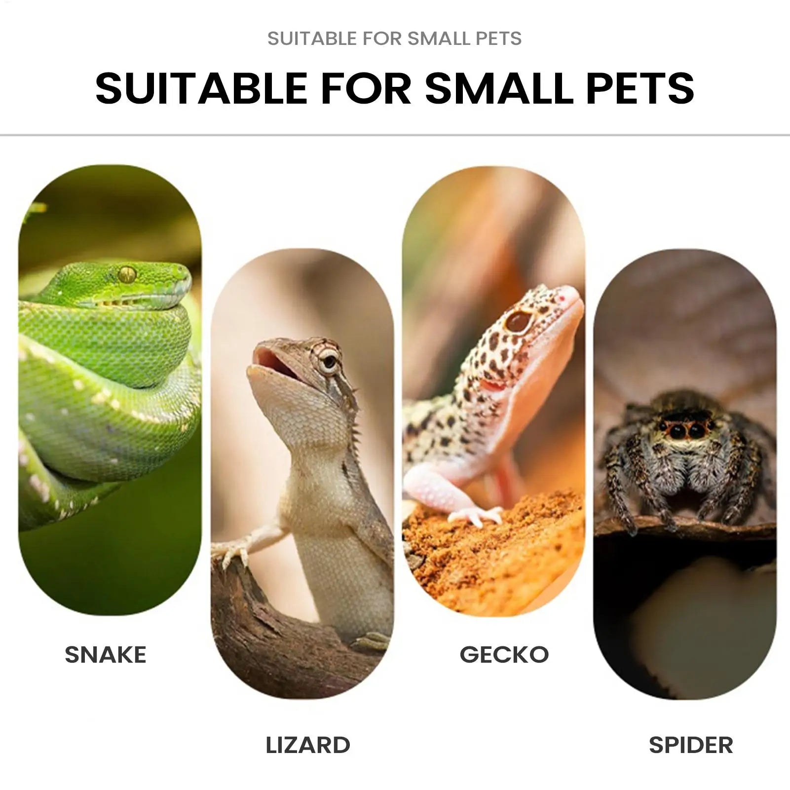 Reptile Climbing Branch Suction Cup Heat Resistant Perch Lizard
