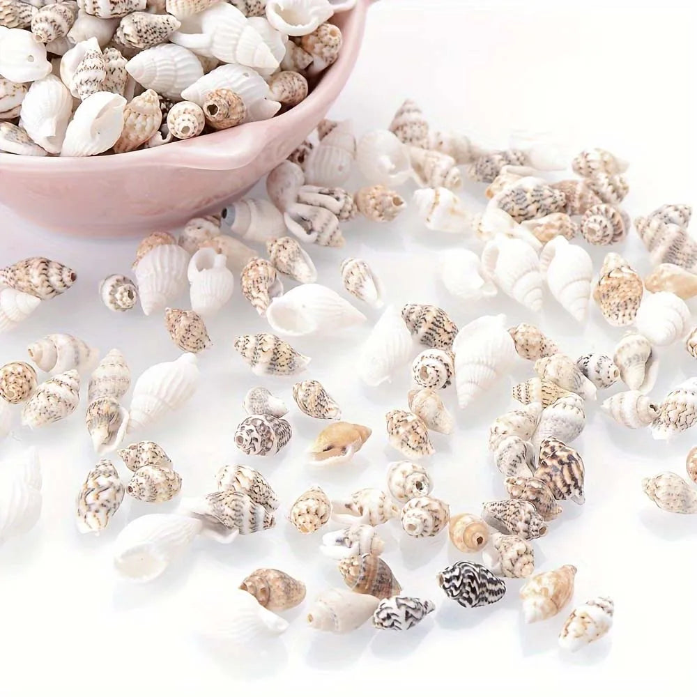 Seashells for Crafts, Jewelry Making & Beach Home Decor Craft Seashells Zpaxo