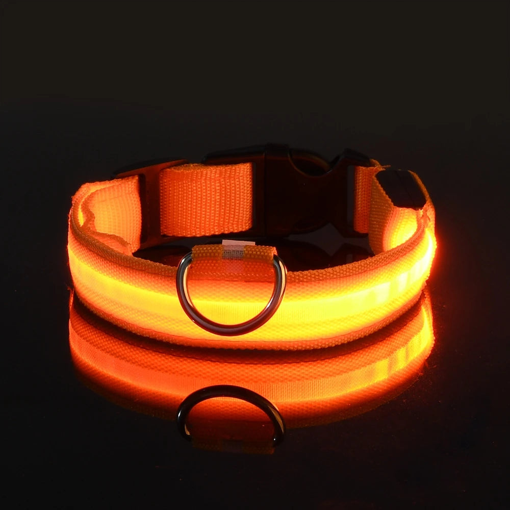 Nylon LED Night Safety Flashing Glow In The Dark Dog Leash Dogs Luminous Fluorescent Pet Dog Collar Zpaxo Orange L