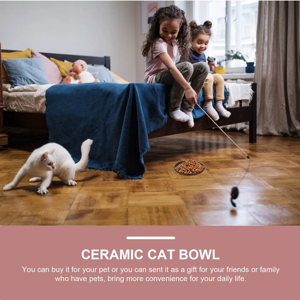 Ceramic Cat Bowl Thoughtful Pet Lovers Large Capacity Comfortable