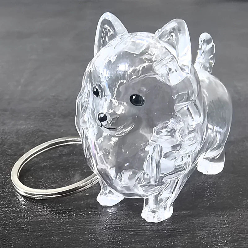 Dog Hair Storage Pendant Keychain Transparent Cat Fur Keepsake