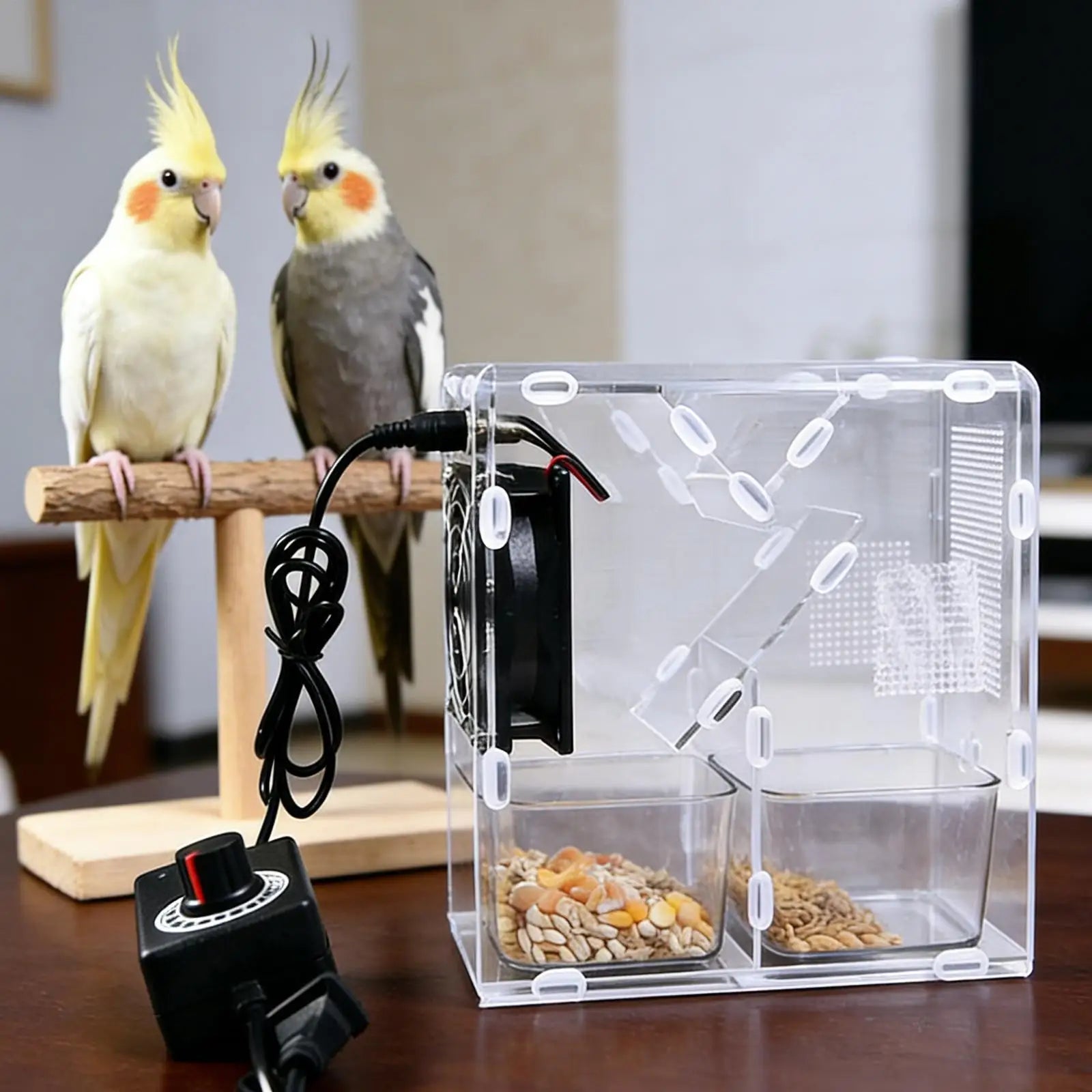 Electric Detachable Bird Food Shell Remover Clear Sifter Finch