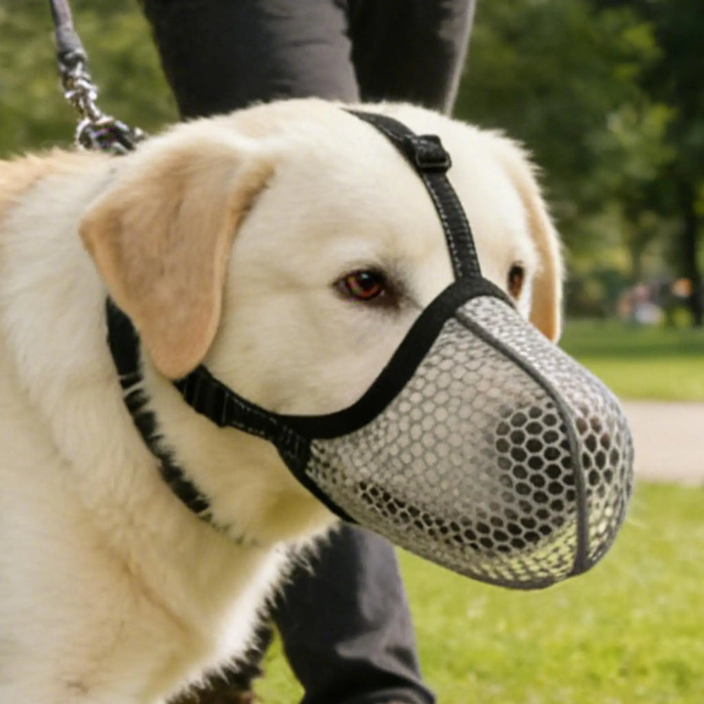 1PC Dog Muzzle Mesh Large Dog Breathable Grid Prevent Random Eating Stop Barking Golden Retriever Dog Mouth Cage Pet Mask Zpaxo