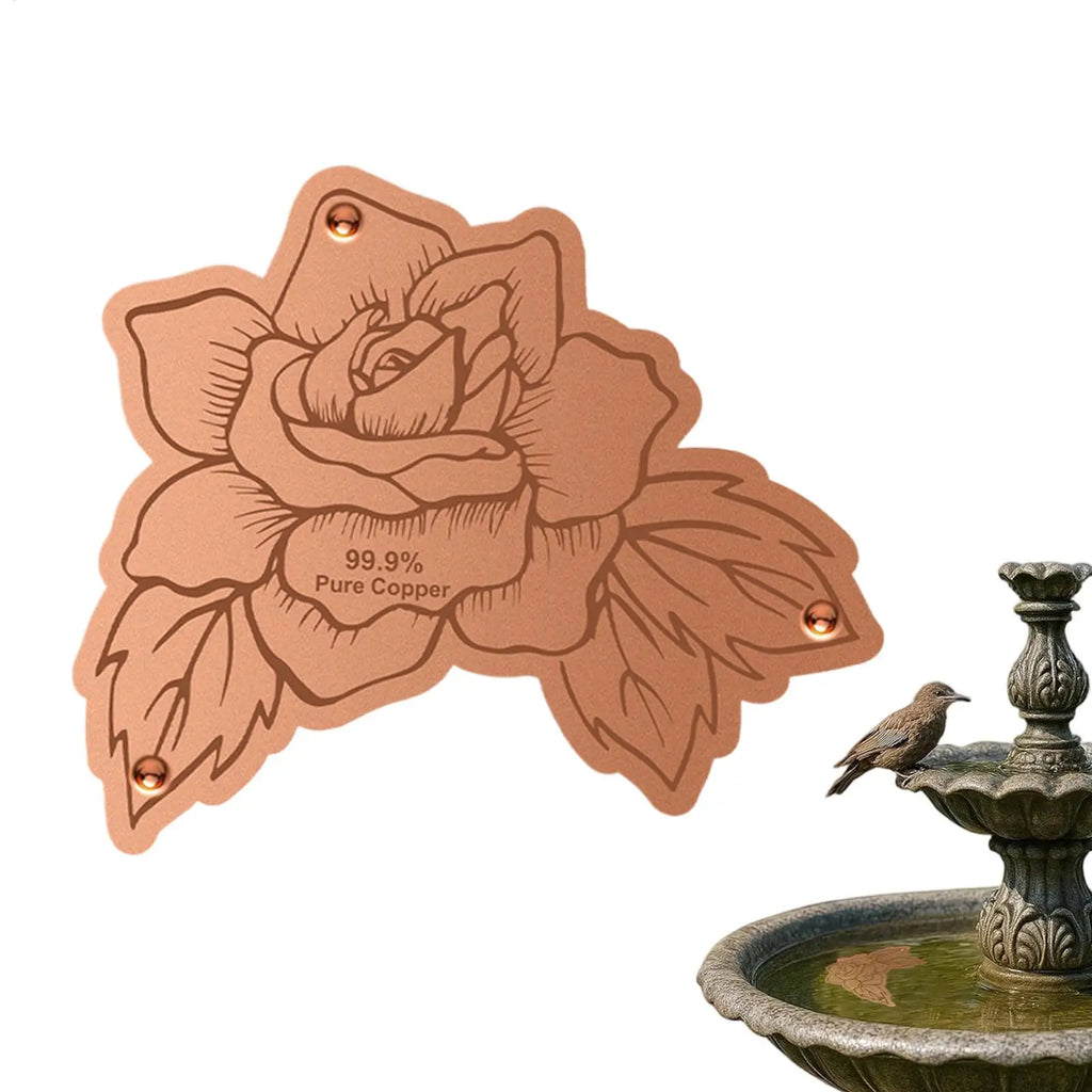 1PC Bird Bath Copper Birdbath Purifier With Triple-Point Support Bath Disk Ornaments Feeder Accessories For Outdoor Bird Baths Zpaxo