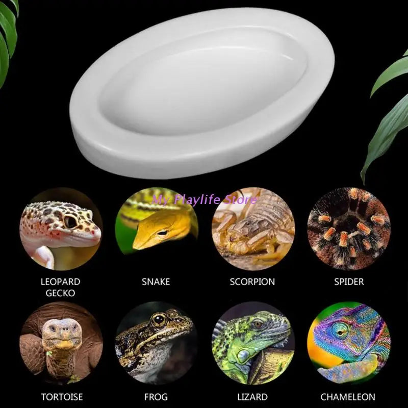 Reptile Water Food Bowl Ceramic Feeder Bowls Anti- Escape Breadworm