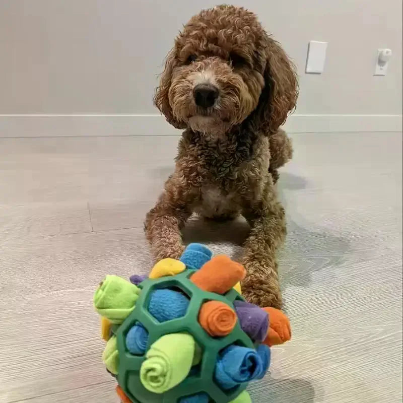 Small Dogs Dog Sniffing Ball Toy Puzzle Hidden Food Educational Zpaxo