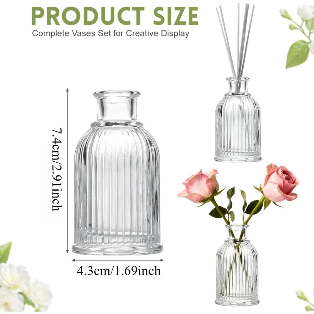 Clear Glass Mini Bottles – Reed Diffuser & Bud Vase Set 2/4/6 PCS