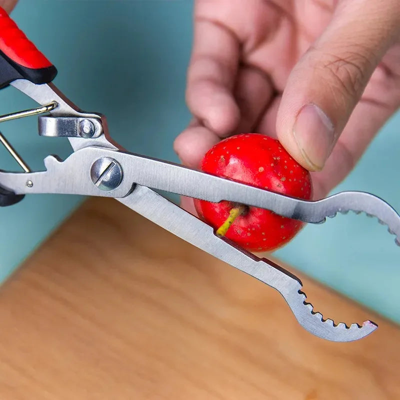 Stainless Steel Hawthorn Corer Opener Tomatoes Sticks Clip Tongs Zpaxo