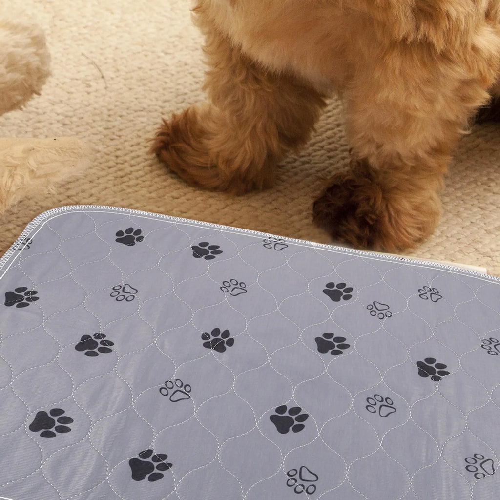 Pet Pee Mat Washable Dog Pad Puppy Training Extra Absorbent Leak