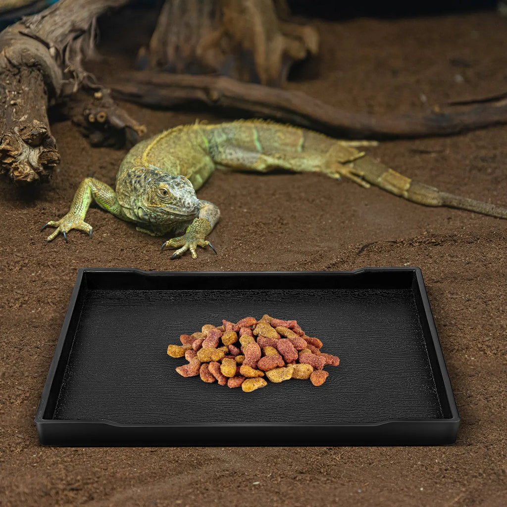 Tortoise Food Dish Solid Reptile Feeding Bowl Shallow Water Lizard