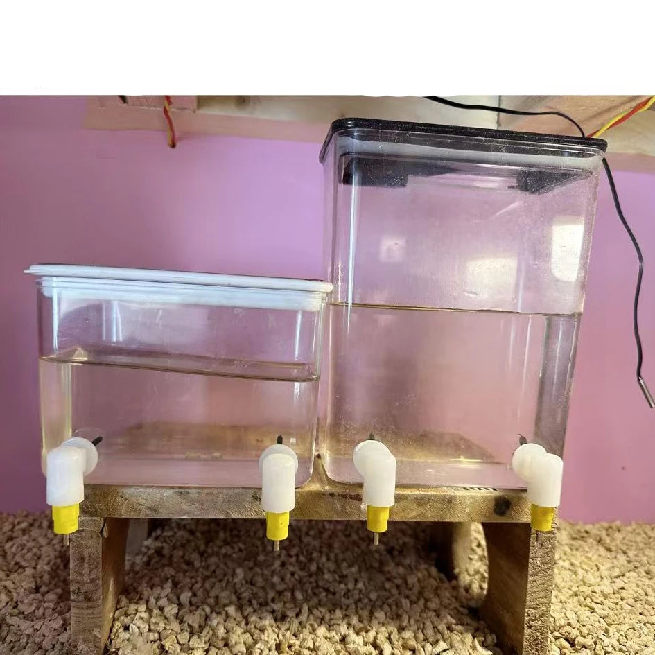 Fully Automatic Needle Water Dispenser Lubing Quail Chick Double