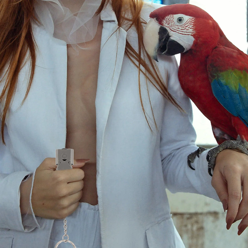 Professional Bird Whistle Stainless Steel Training Parakeet Parrot