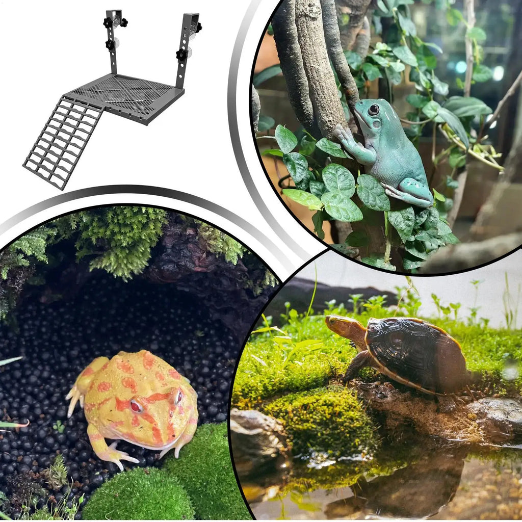 Turtle Basking Area Non-slip Resting Ramp Decoration Food Tank