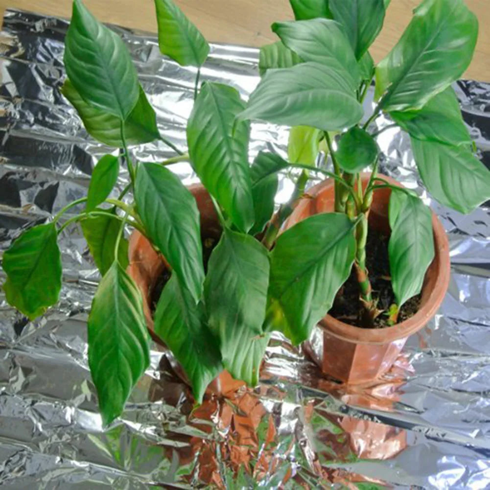 20- Silver Mylar Reflective Films 210x120cm Film Grow Foil Tent Zpaxo