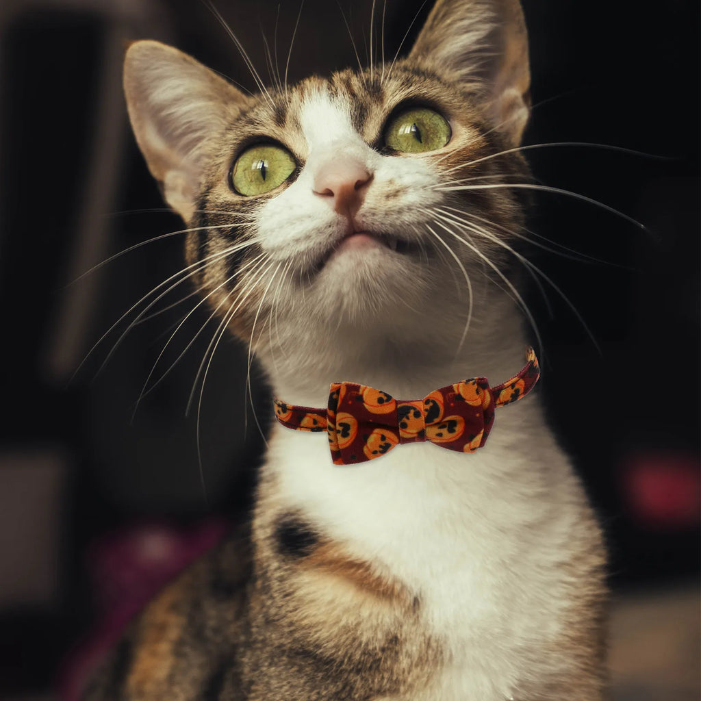 Adjustable Bowknot Dog Collar Halloween Pet Necklace Cute Party