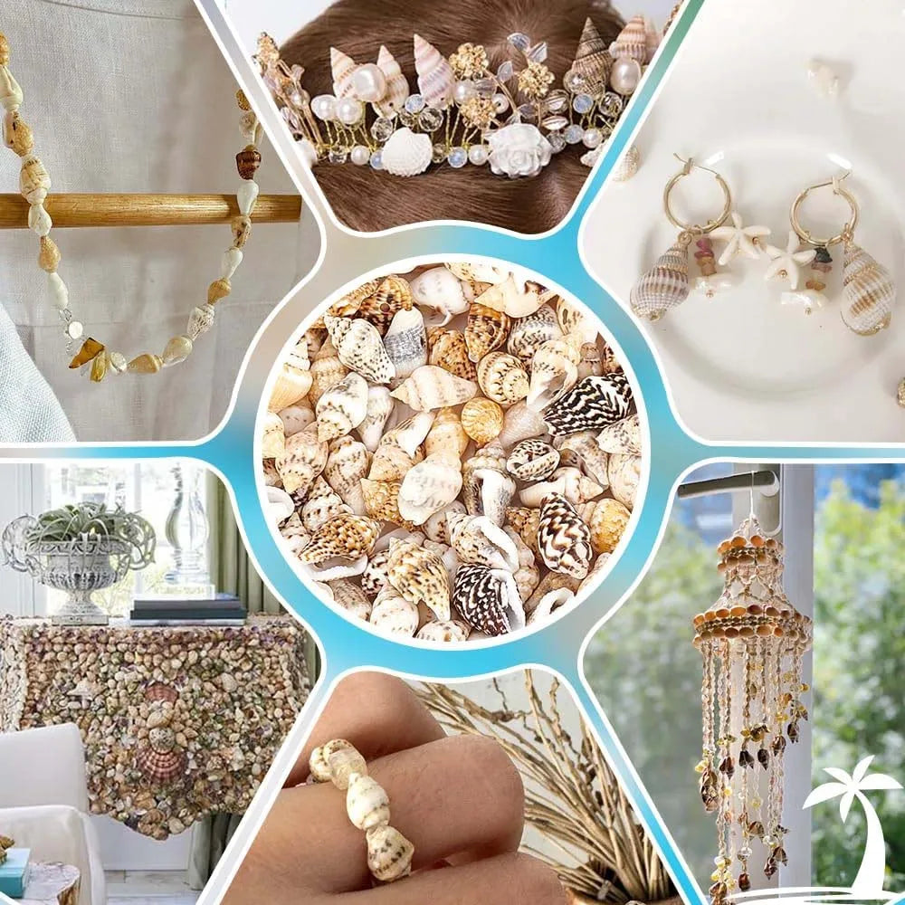 Miniature Spiral Seashells for Resin Crafting – 100pcs 20g Pack Craft Shell Embellishments Zpaxo