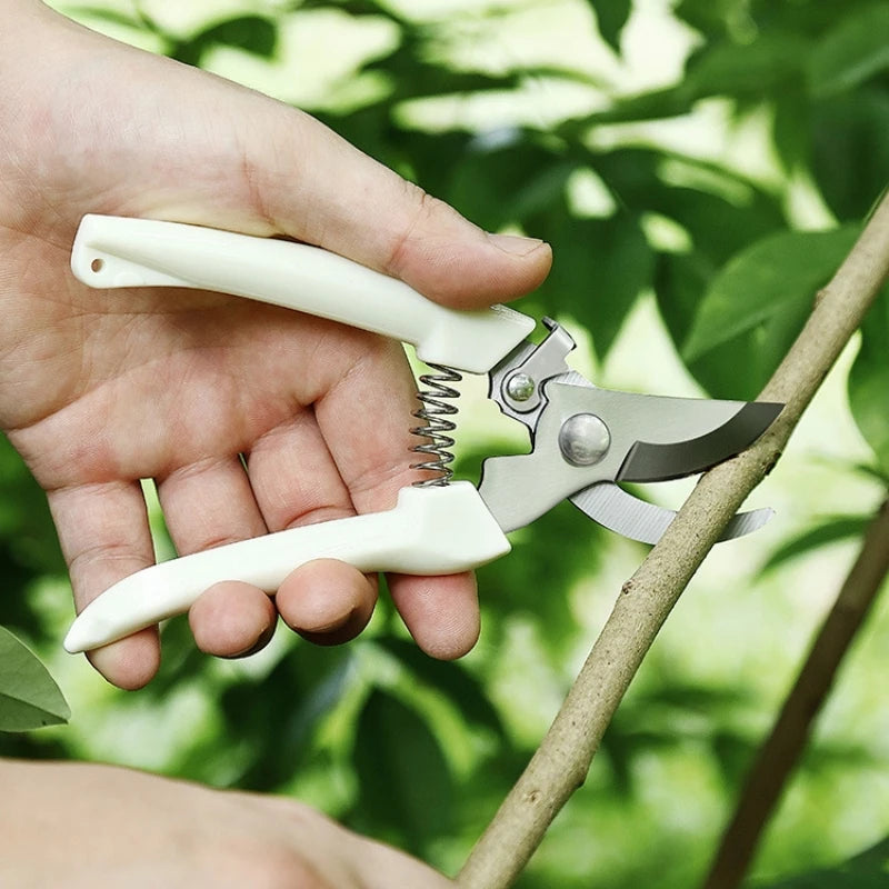 Pruning and pruning complete set of gardening straight end shears, garden elbows, garden fruit picking shears, spring hand tools Zpaxo