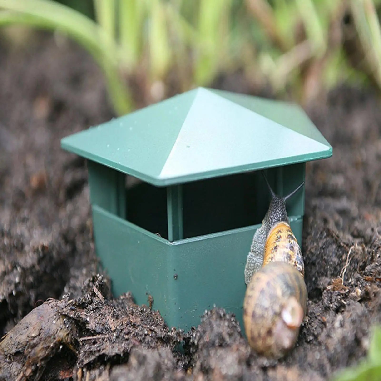 Slug Traps Garden Farm Protector Slug House Pests Reject Animal Pests Repeller Snail Trap Catcher Gintrap Tools Snail Cage Zpaxo