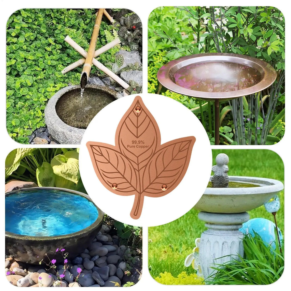 Copper Disk For Bird Bath Stable Triple-Point Support Purification Plate Copper Bird Bath Purification Disk For Outdoors Zpaxo
