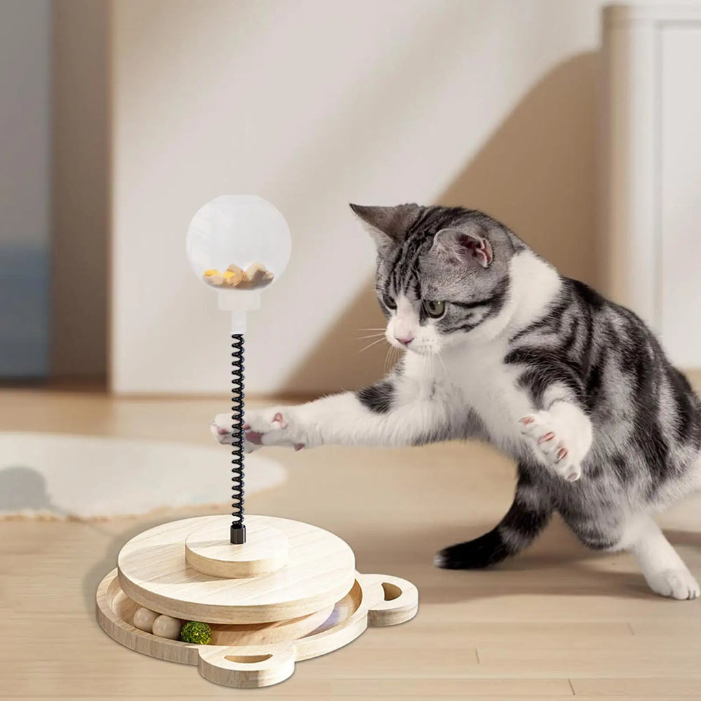 Dog Treat Ball Pet Food Dispenser Wood Track With Spring Pole Cat Treat Ball Dispenser For Home Play Medium Large Breed Puppy Zpaxo