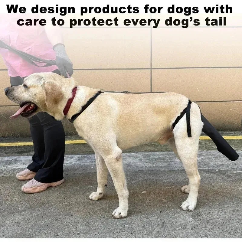 Dog Tail Protector Sleeve Guard – Universal Fit | Safe & Comfy