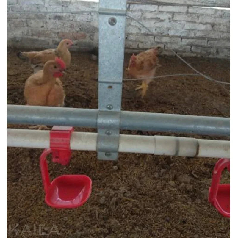 Chicken Farm Water Line Clips Poultry House System Iron Stands