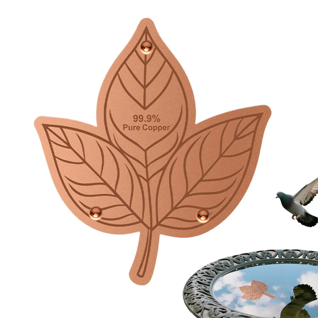 1PC Bird Bath Copper Birdbath Purifier With Triple-Point Support Bath Disk Ornaments Feeder Accessories For Outdoor Bird Baths Zpaxo