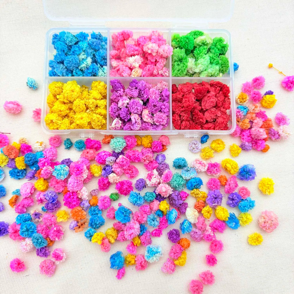 1 box Small Dried Flowers for Resin Crafts Candle Soap Making Nail Art DIY Jewellery Gift Home Decoration Zpaxo