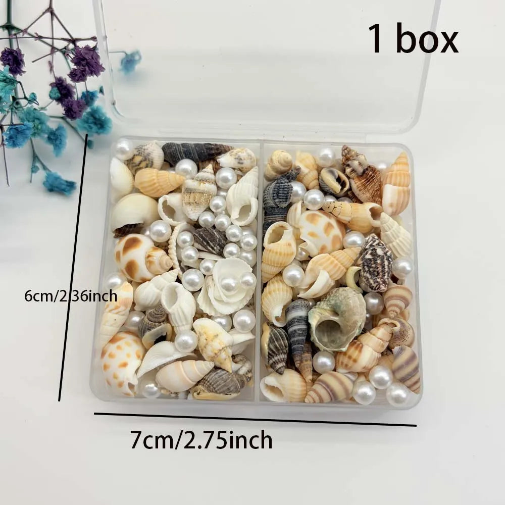 Natural Mixed Seashells & Ocean Pearls – Beach Decor & Crafts Decorative Seashells Zpaxo 1 box