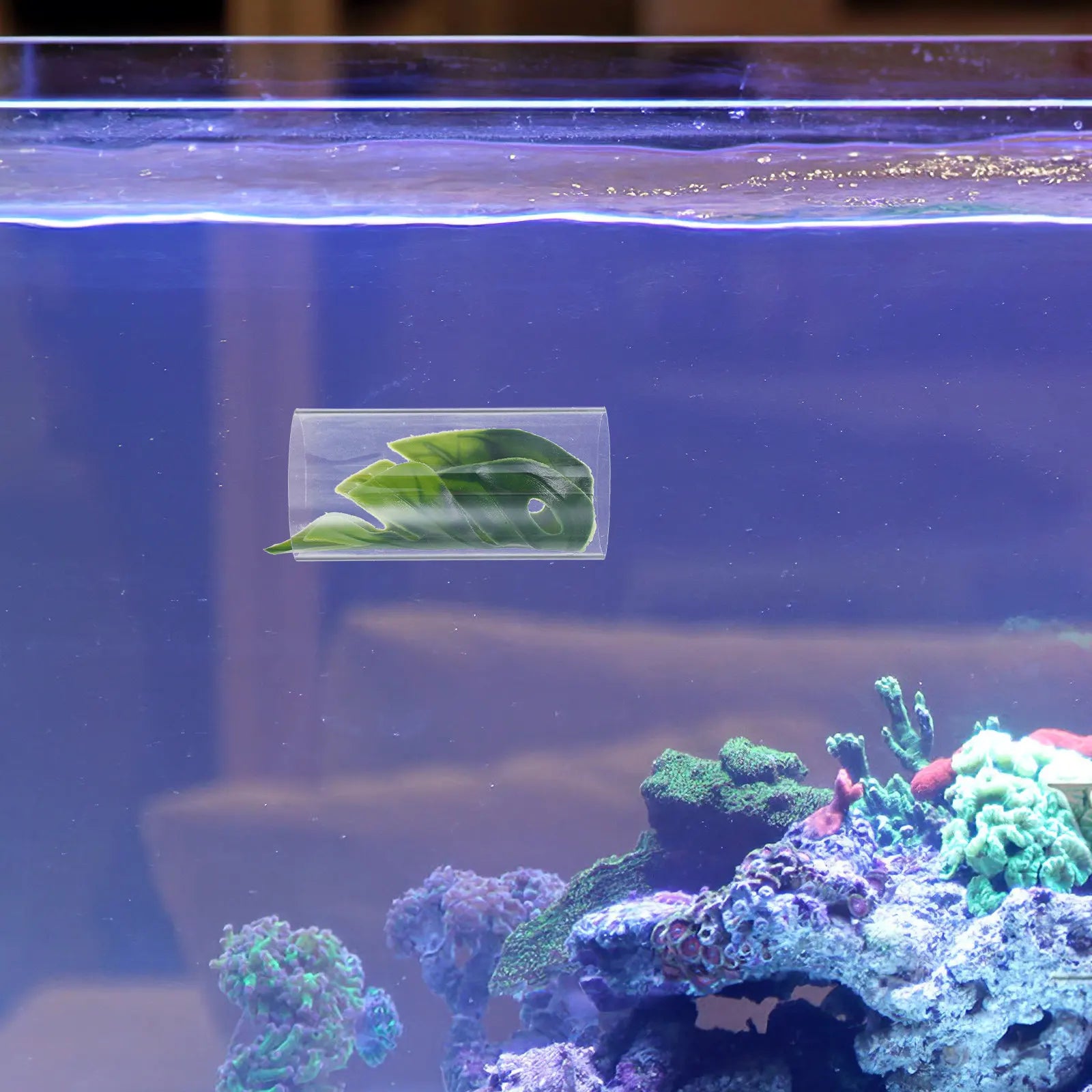 Transparent Betta Fish Tunnel Resting Spawning Hiding Aquarium Shrimp