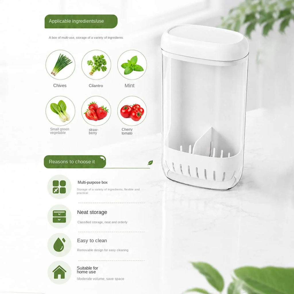 Cilantro Keeper Drainage Lid Removable Divider Kitchen Produce Saver