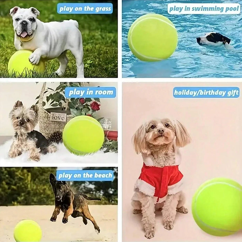 Dog Tennis Ball 24cm/9.5Inch Pet Tennis Ball Thrower For Training Interactive Large Dog Toy for Outdoor/Indoor Sports Dog Gift Zpaxo