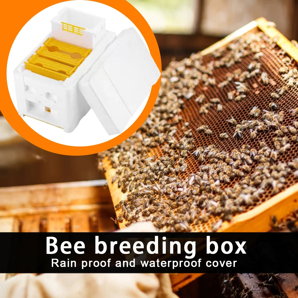 Foam Pollination Boxes Bee Nest Tool Multi-Function Beehive Beekeeping King Box Bee Hive Frame Holder Equipment Kit Zpaxo