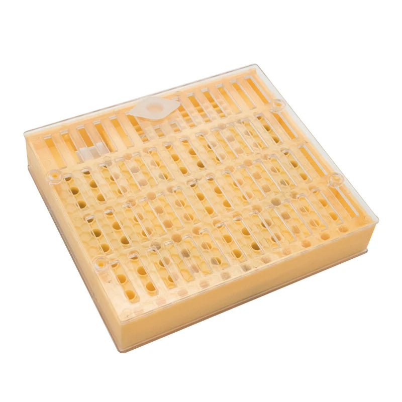 Bee Brood Box Queen Lay Eggs Cage Beekeeping Rearing Equipment