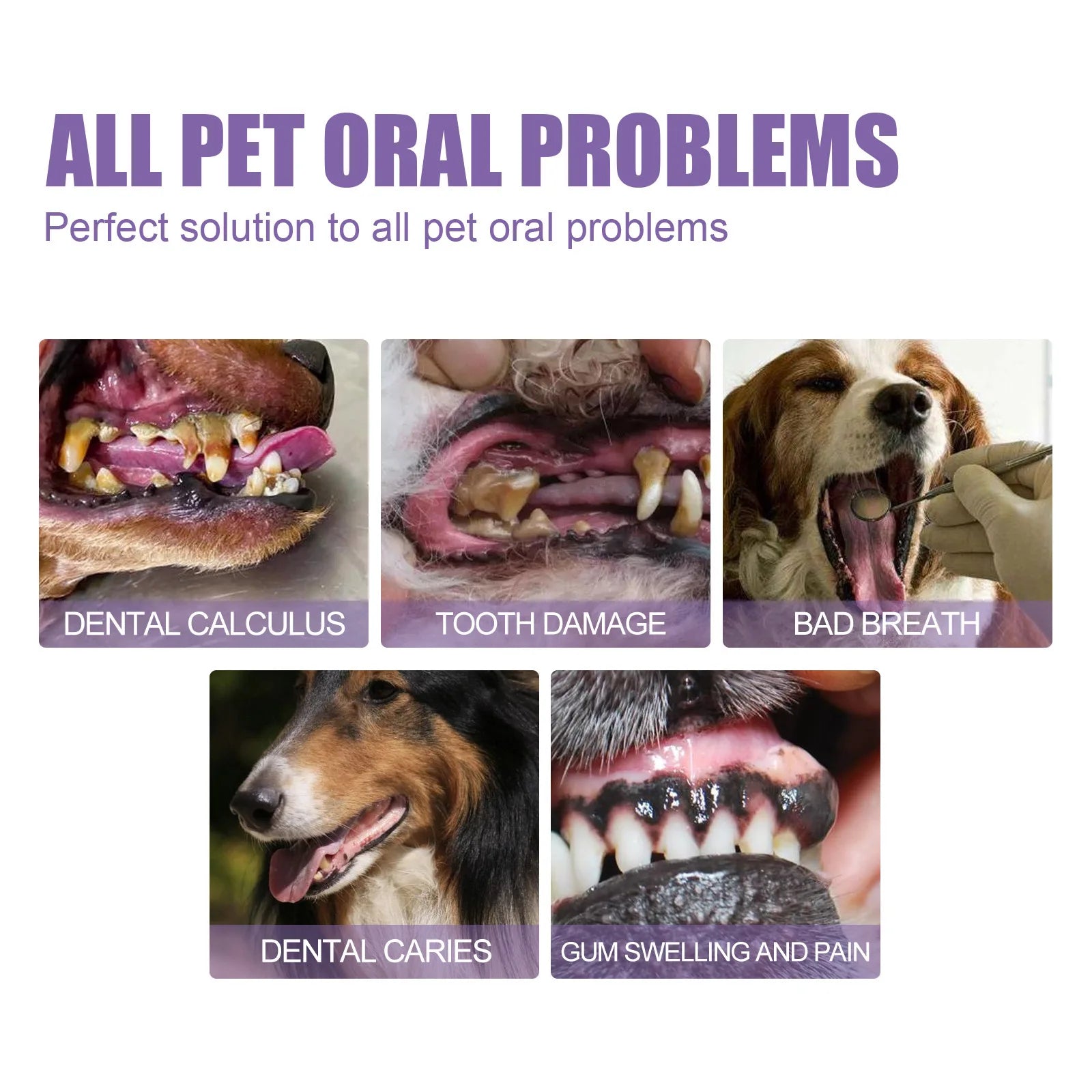 1/2pcs Pet Oral Repair Gel Tooth Repair Stain Remover Oral Cleansing Gel Natural Dog Toothpaste Gel for Dogs & Cats Pet Breath Zpaxo