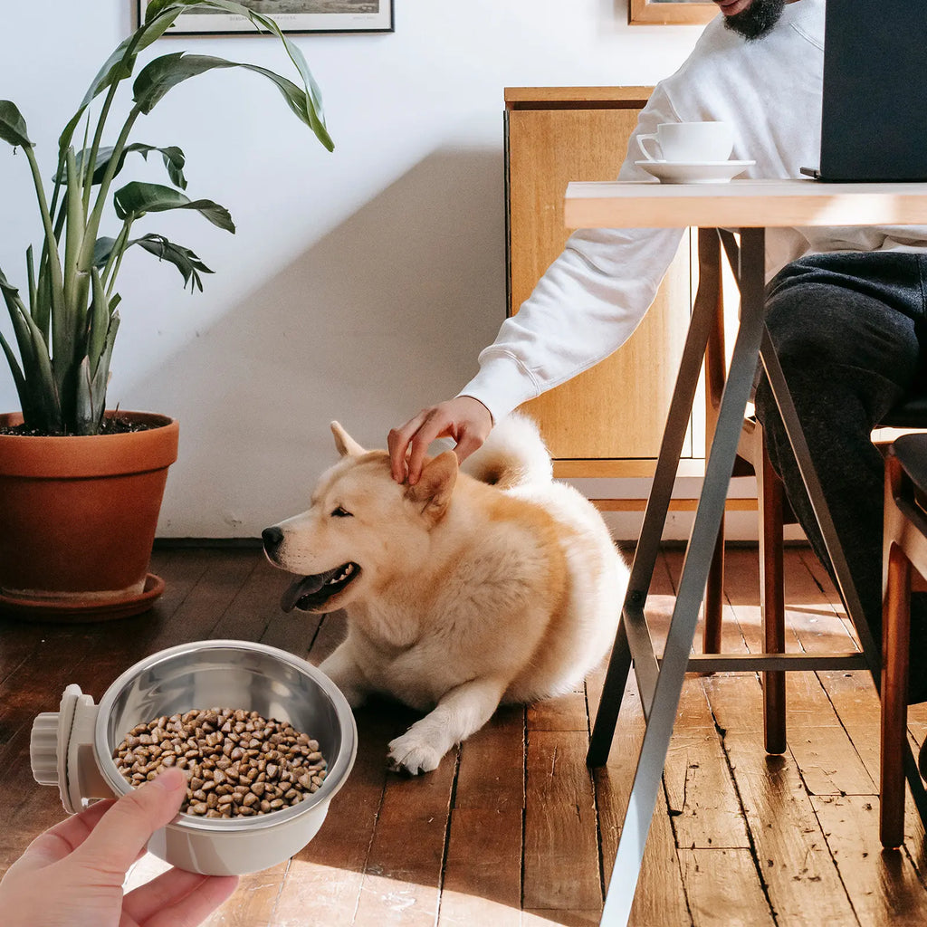 Premium Stainless Steel Pet Feeding Bowl Unique Anti-tip Hanging Cats