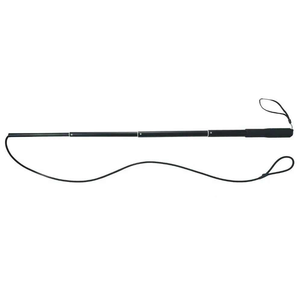 Retractable Dog Trainer Interactive Outside Chew Stick Pet Training