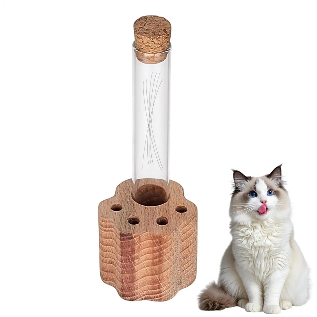 Cat Whisker Keepsake Jar Glass Memory Box Wooden Base Collection